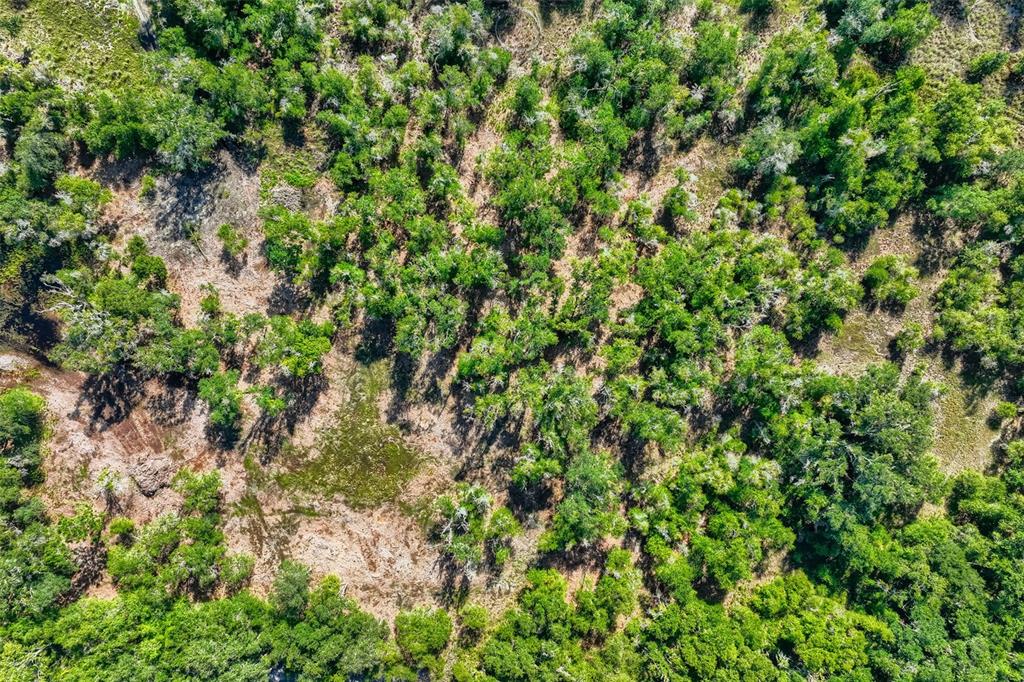 An aerial view shows a wooded area with patches of open, grassy, and marshy terrain — BRUTON ROAD, PLANT CITY, FL