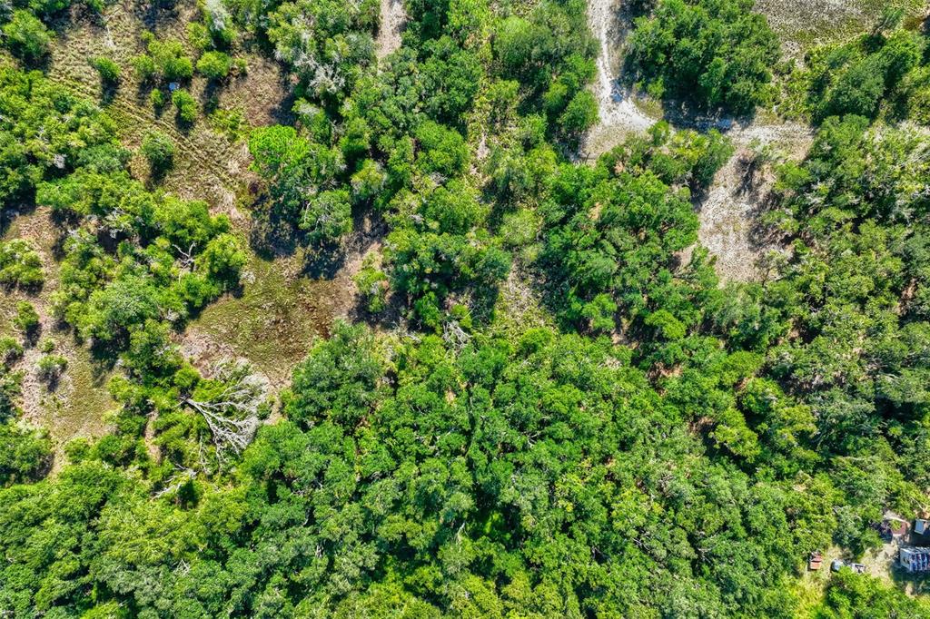 An aerial view shows a dense forest with patches of open land and sandy trails — BRUTON ROAD, PLANT CITY, FL