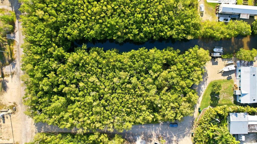 An aerial view shows a dense patch of trees bordering a narrow canal with boats — 53 BEAVER LANE, OCHOPEE, FL