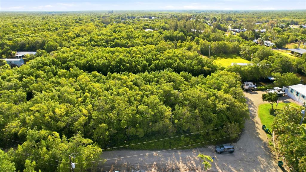 An aerial view shows a dense wooded lot next to a dirt road and houses — 53 BEAVER LANE, OCHOPEE, FL