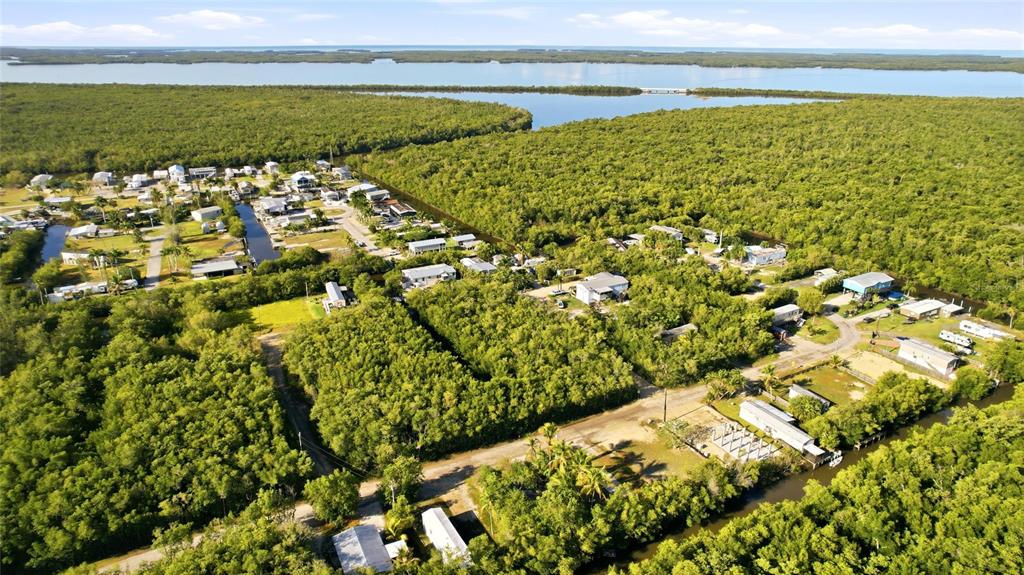An aerial view shows houses nestled within a dense forest near a body of water — 53 BEAVER LANE, OCHOPEE, FL