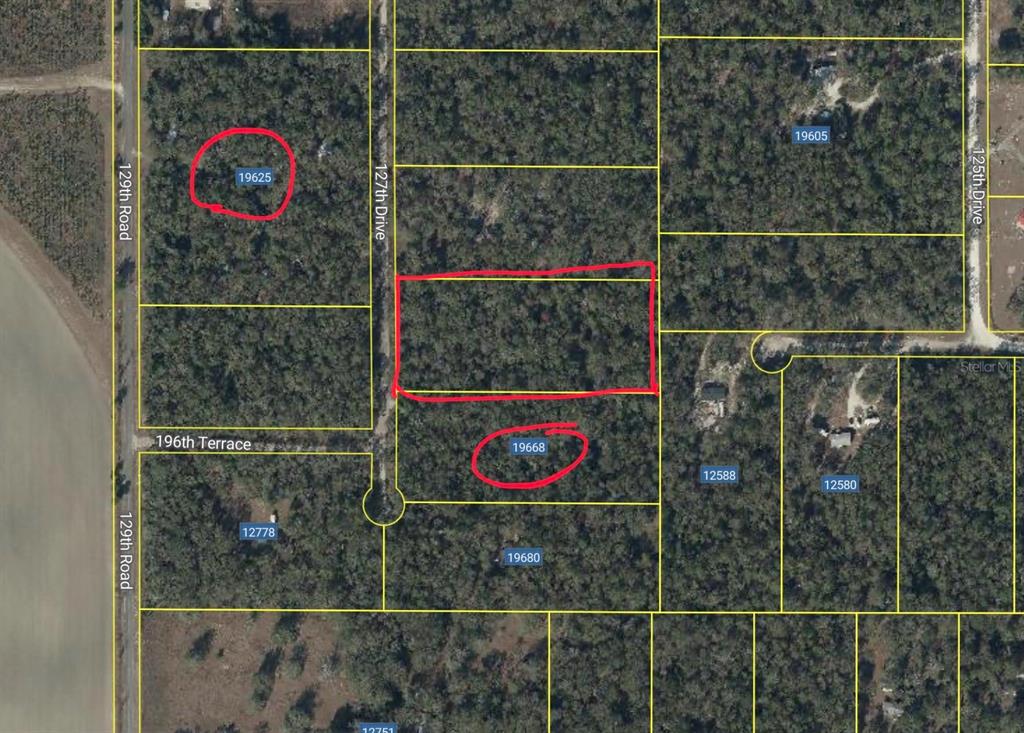 This is an aerial map showing several wooded residential lots outlined in yellow — 127TH DRIVE, O'BRIEN, FL