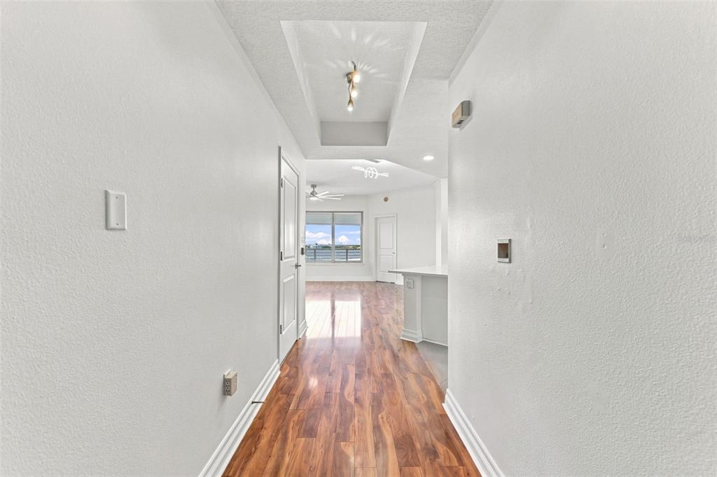 A hallway with wood-look flooring leads toward an open living area with a large window — 1209 E CUMBERLAND AVENUE UNIT 608, TAMPA, FL
