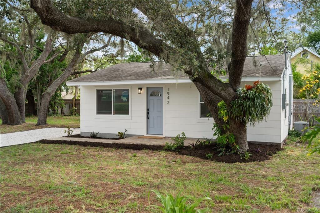 A white single-story house with a blue front door sits beneath a large oak tree — 1942 SPRINGTIME AVENUE, CLEARWATER, FL
