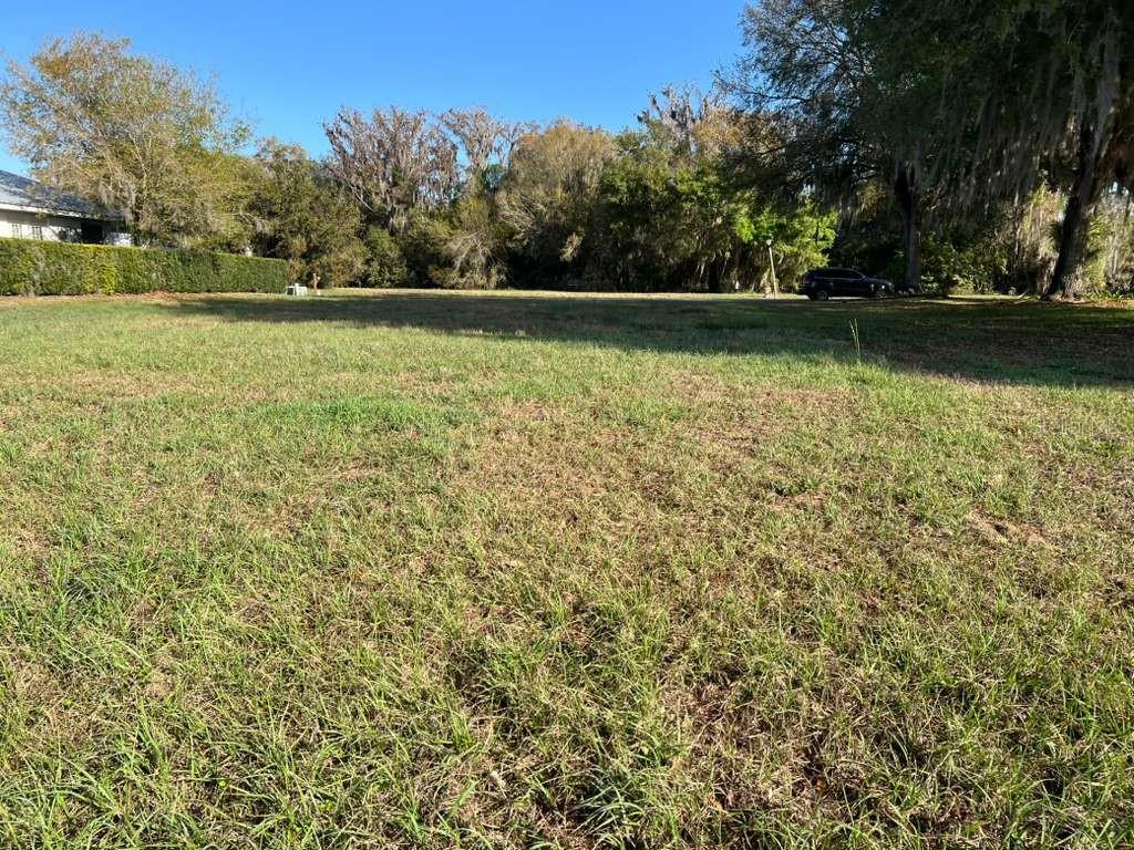 A large, grassy, vacant lot is surrounded by mature trees and a hedge — 6208 AQUAVISTA DRIVE, SEBRING, FL