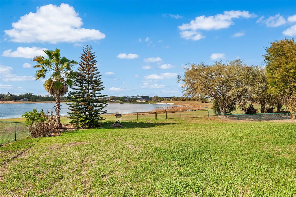 A grassy backyard features a palm tree, a pine tree, and a chain-link fence overlooking a lake — 4367 DINNER LAKE BOULEVARD, LAKE WALES, FL