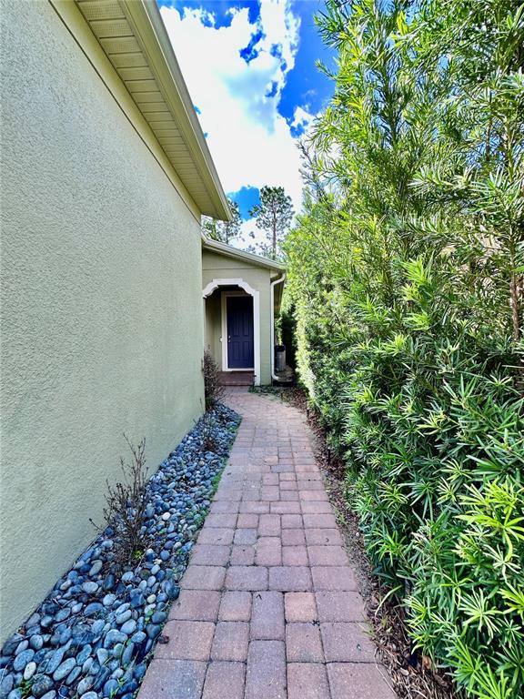 A stone paver walkway leads to a blue door alongside a house and tall hedge — 1557 AMBER LEAF CIRCLE, OCOEE, FL