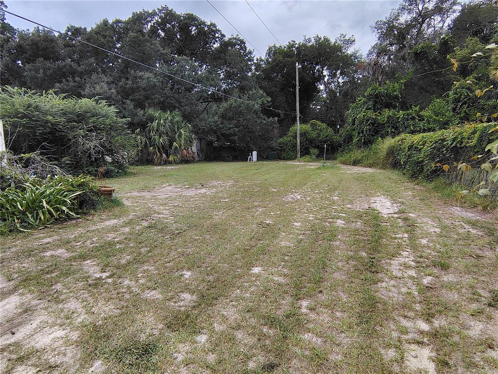 A grassy, partially cleared lot features scattered vegetation, a utility pole, and surrounding mature trees — 27401 MAIN AVENUE, OKAHUMPKA, FL