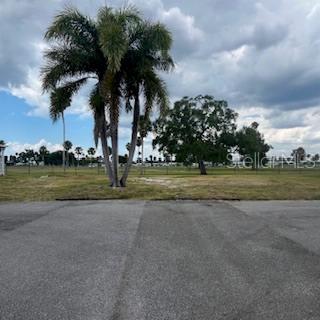 A paved parking area sits in front of a grassy lot with palm trees — 4900 3RD A STREET E UNIT 613, BRADENTON, FL