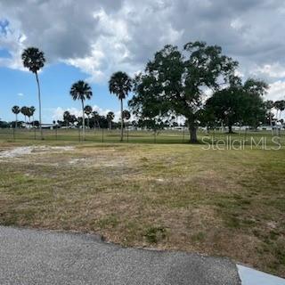 A vacant grassy lot features scattered palm trees and a large oak tree under clouds — 4900 3RD A STREET E UNIT 613, BRADENTON, FL