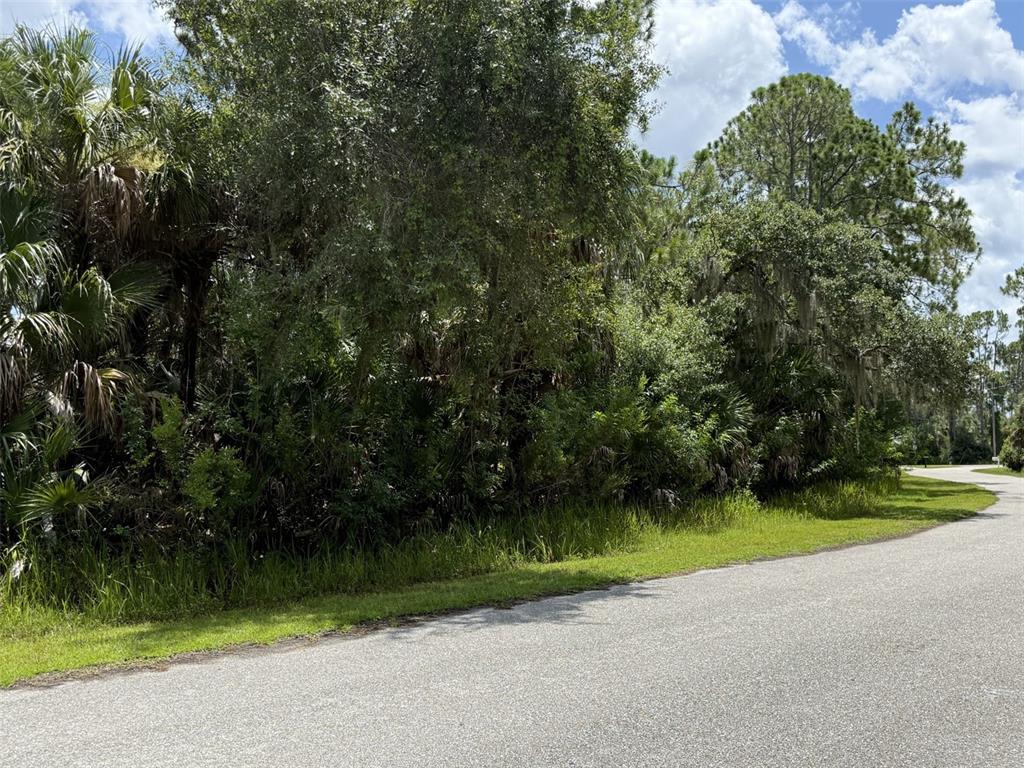A paved road curves past a dense, wooded lot with tall trees and thick vegetation — BADALI ROAD, NORTH PORT, FL