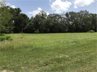A grassy, vacant lot is bordered by a dense line of mature trees under a sky — NE 36TH ST., OXFORD, FL