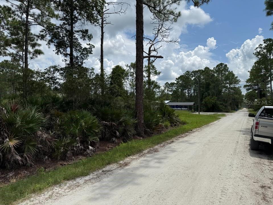 A dirt road runs alongside a wooded lot with dense palmetto bushes and tall trees — Unassigned EAST PARKWAY, DELAND, FL
