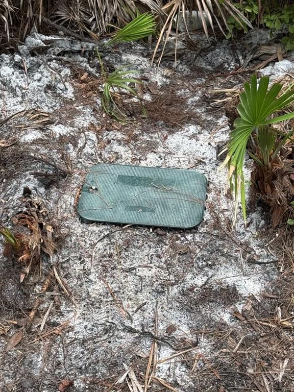 A green utility box cover sits on sandy ground surrounded by small palm plants — Unassigned EAST PARKWAY, DELAND, FL