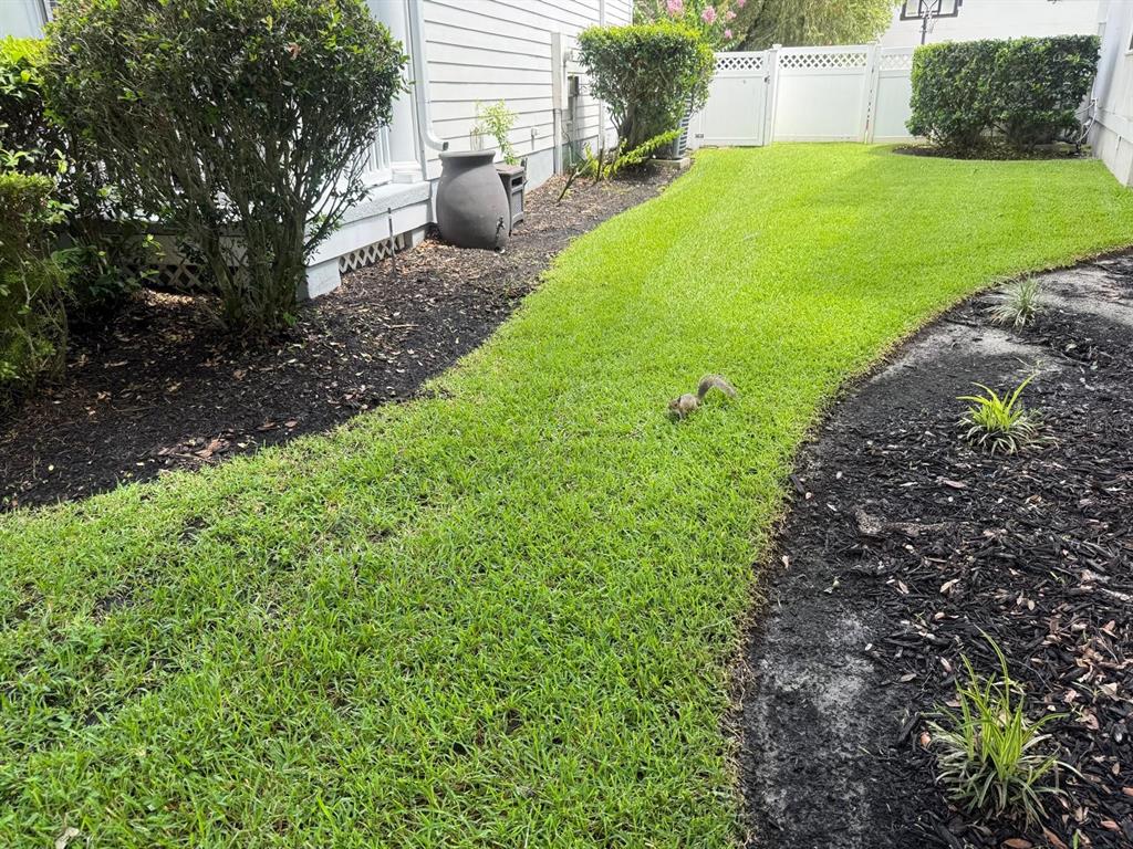 A squirrel stands on a grassy lawn next to a house with dark mulch beds — 813 OAK SHADOWS ROAD, CELEBRATION, FL
