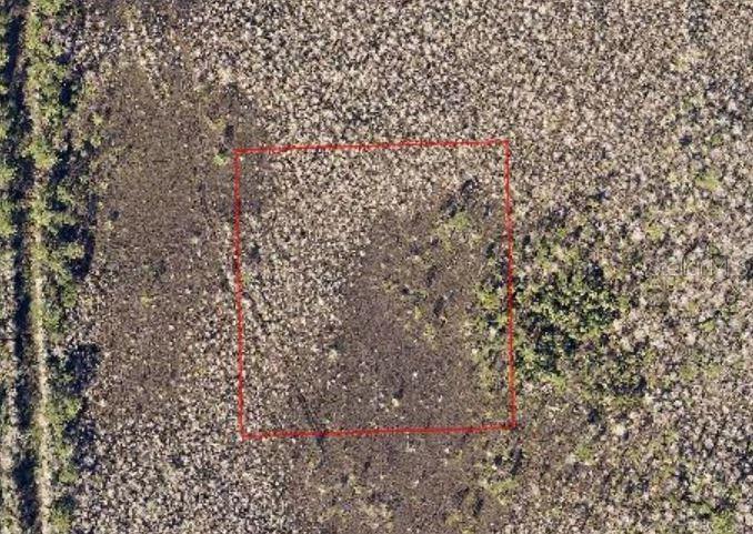 An aerial view of a rectangular plot of land outlined in red — NA, DELAND, FL