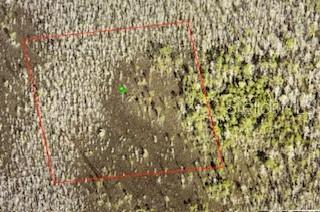 This is an aerial view of a plot of land outlined in red — NA, DELAND, FL