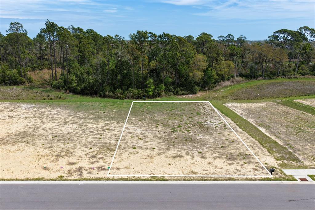 An aerial view shows a vacant rectangular residential lot outlined in white along a road — 222 STILLWATER DRIVE, FLAGLER BEACH, FL