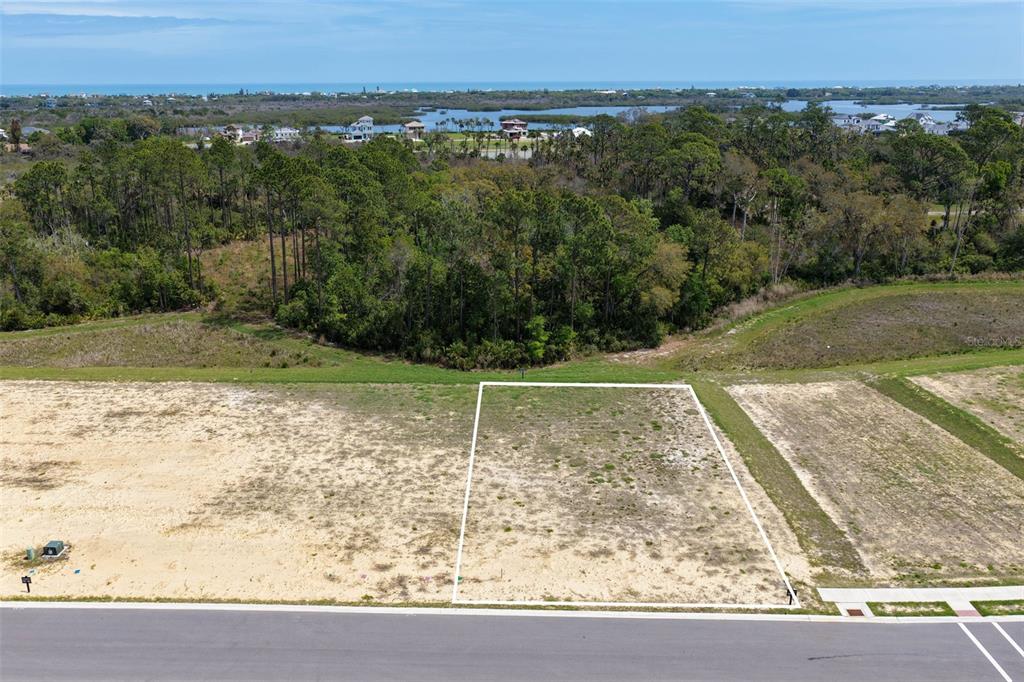 An aerial view shows a vacant rectangular residential lot bordered by a road and trees — 222 STILLWATER DRIVE, FLAGLER BEACH, FL