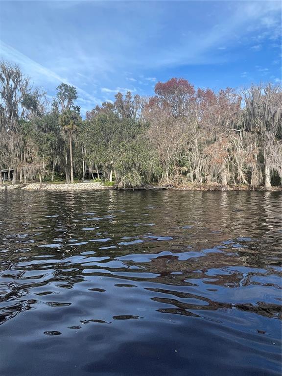A view of a dark, rippling river leading to a wooded shoreline with hanging moss — 233 STELLA ROAD, GEORGETOWN, FL