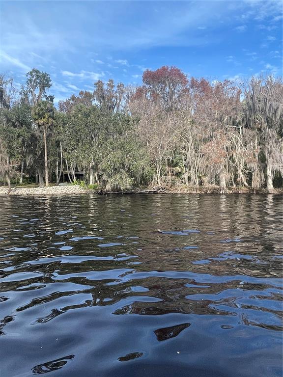 A view of a dark lake shoreline with dense trees draped in Spanish moss — 233 STELLA ROAD, GEORGETOWN, FL
