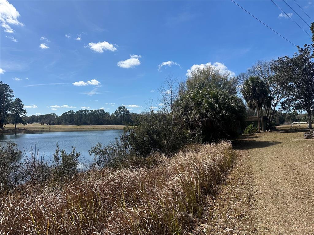 A view of a lake bordered by tall grass and trees under a blue sky — 763 MIDWAY DRIVE UNIT B, OCALA, FL