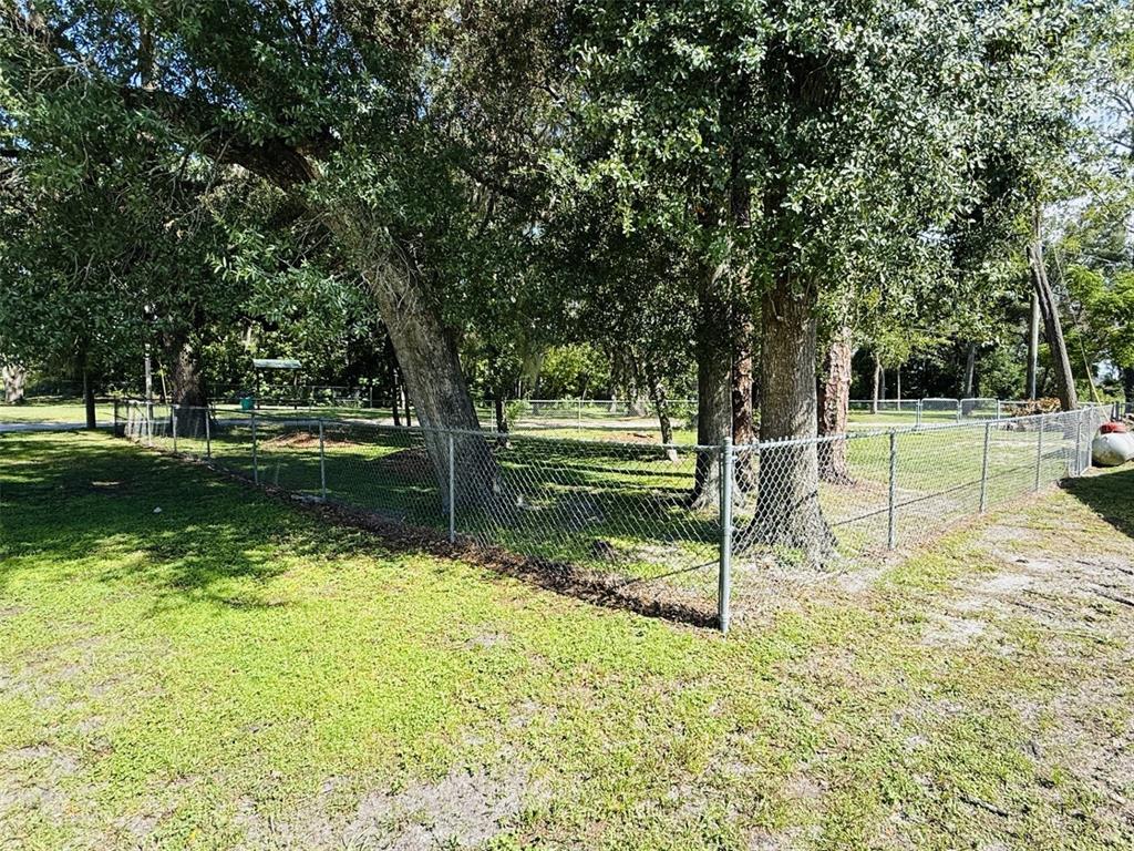 A chain-link fence encloses a grassy area shaded by several large trees — 39048 BLUE JAY AVENUE, ZEPHYRHILLS, FL