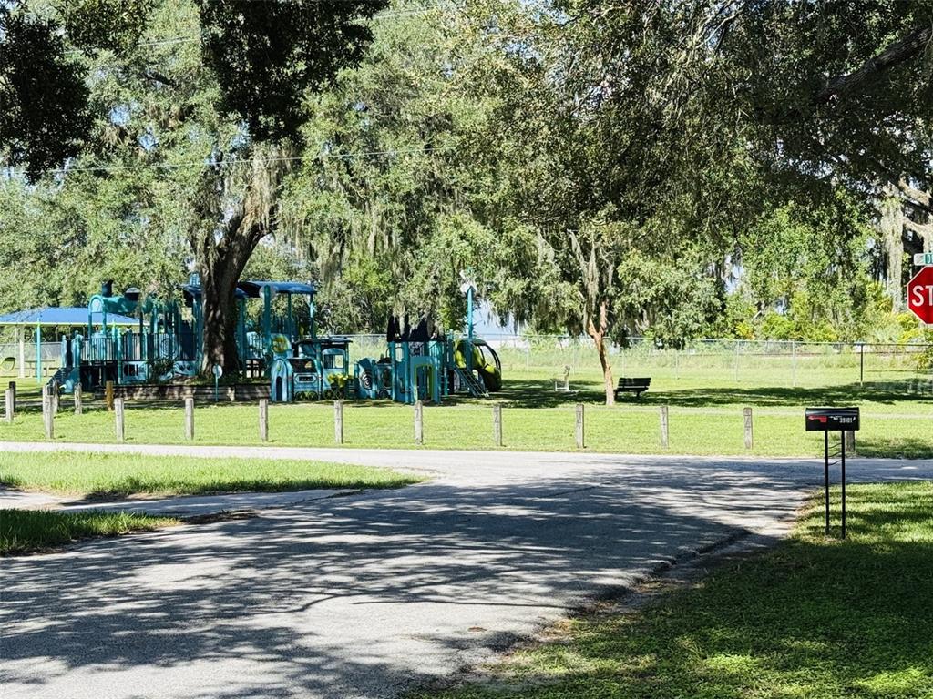 A public park features a large blue playground structure surrounded by trees and a grassy lawn — 39048 BLUE JAY AVENUE, ZEPHYRHILLS, FL