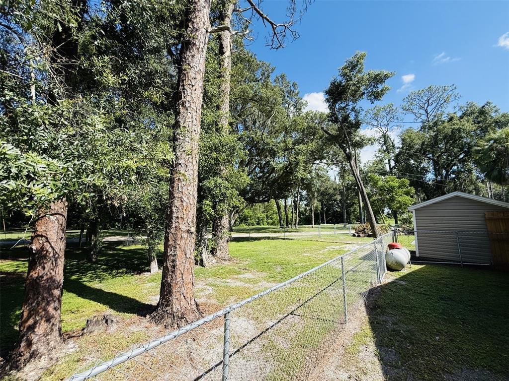 A chain-link fence encloses a grassy backyard with several mature trees and a storage shed — 39048 BLUE JAY AVENUE, ZEPHYRHILLS, FL