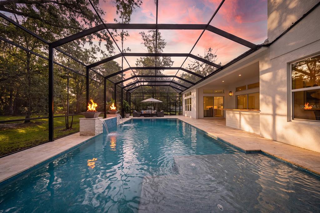 A screened-in pool area features a rectangular swimming pool, water fountains, and fire bowls — 2304 CLEMENT ROAD, LUTZ, FL