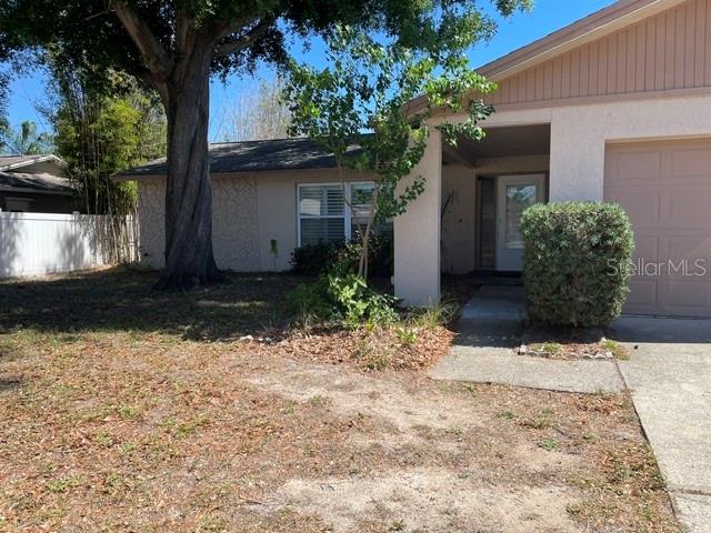 A single-story house with a beige exterior, a large tree, and a concrete driveway — 2230 BIRCHBARK TRAIL, CLEARWATER, FL