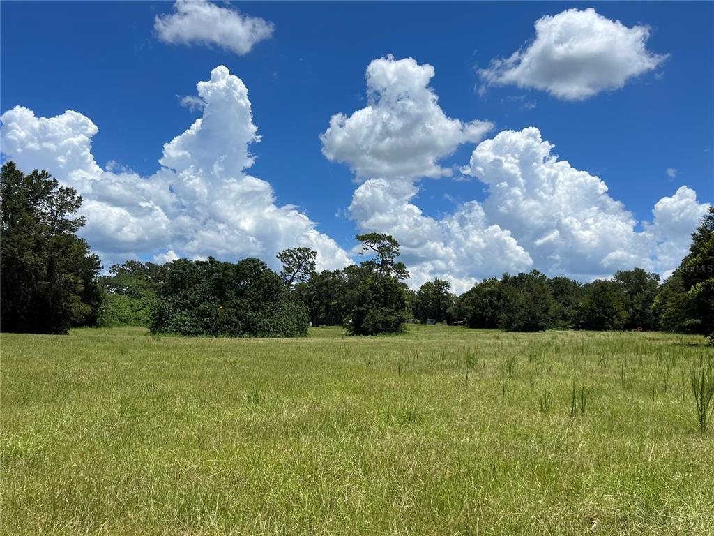 A large, grassy field is bordered by trees under a bright blue sky with clouds — 5500 SE 24TH STREET, OCALA, FL