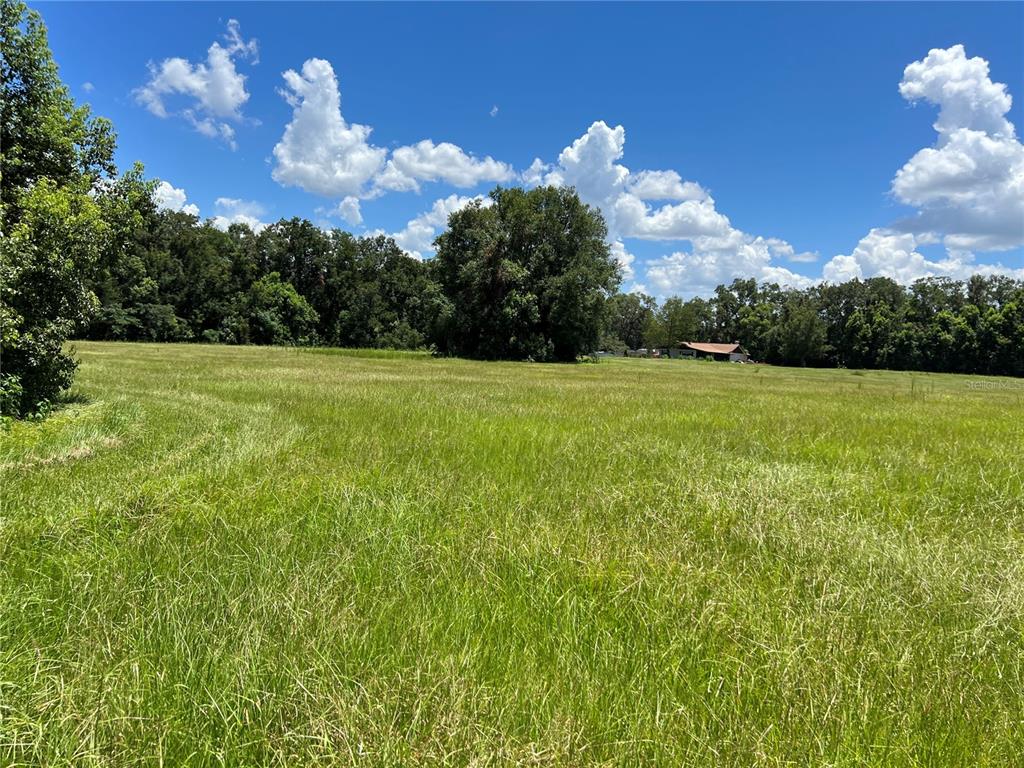 A large, grassy field is bordered by a dense line of trees under a blue sky — 5500 SE 24TH STREET, OCALA, FL