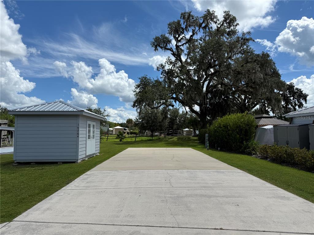A concrete driveway leads toward a small shed and a large tree under a blue sky — 10264 NE 28TH LOOP, SILVER SPRINGS, FL
