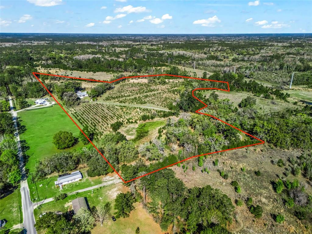 An aerial view shows a large, irregularly shaped plot of land outlined in red — 6350 NE 86TH AVENUE, BRONSON, FL