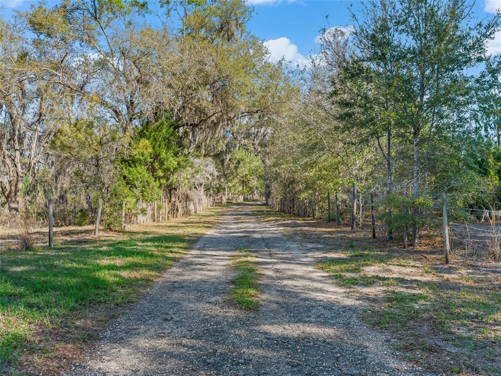 A gravel driveway leads through a wooded area lined with a wire fence — 6350 NE 86TH AVENUE, BRONSON, FL