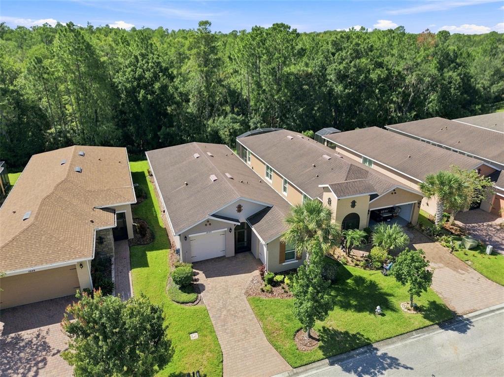 An aerial view shows a row of suburban houses with paved driveways and wooded backyards — 1055 HARBOR RIDGE DRIVE, KISSIMMEE, FL