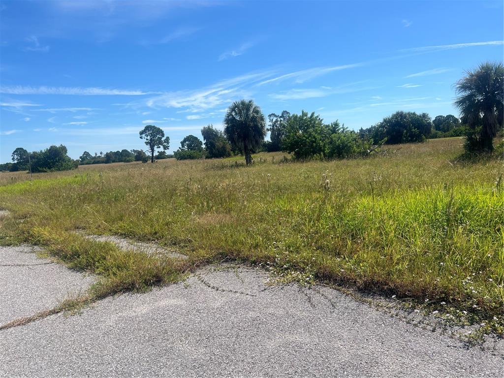 12441 PERCH WAY, PLACIDA, FL — photo 2 of 2
