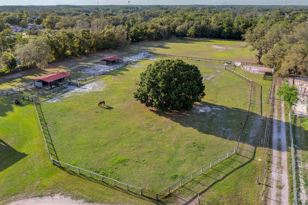 An aerial view of a fenced horse pasture with two shelters and a large tree — 7705 GARDNER ROAD, TAMPA, FL