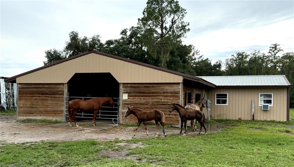 14875 CR 751, WEBSTER, FL — photo 5 of 30