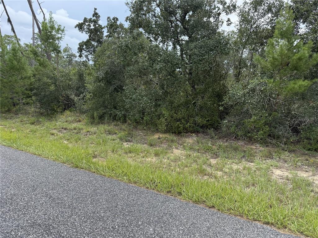 4282 W THRUSH DRIVE, CITRUS SPRINGS, FL — photo 2 of 2