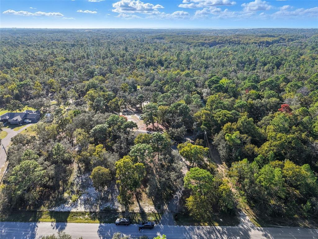 An aerial view shows a house nestled within a dense, wooded lot near a road — 17539 EDWIN TERRACE, HUDSON, FL