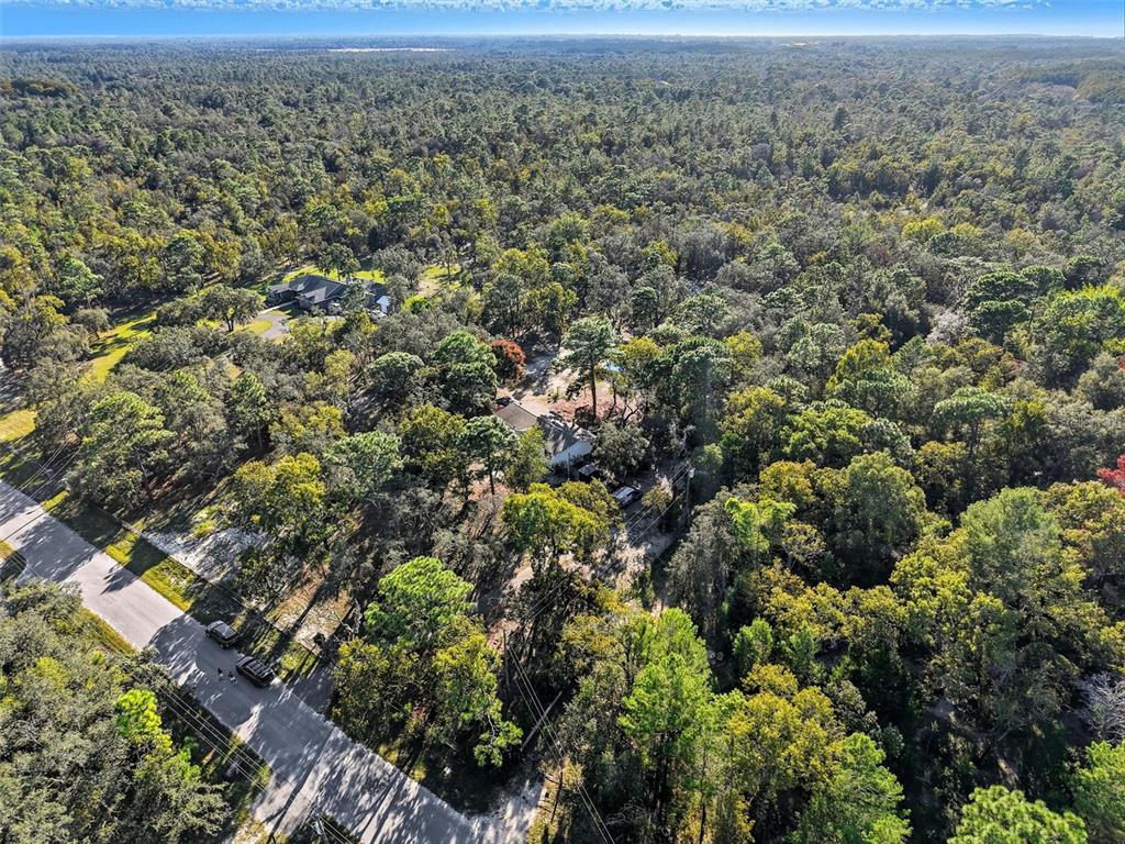 An aerial view shows two houses nestled within a dense, wooded forest near a road — 17539 EDWIN TERRACE, HUDSON, FL