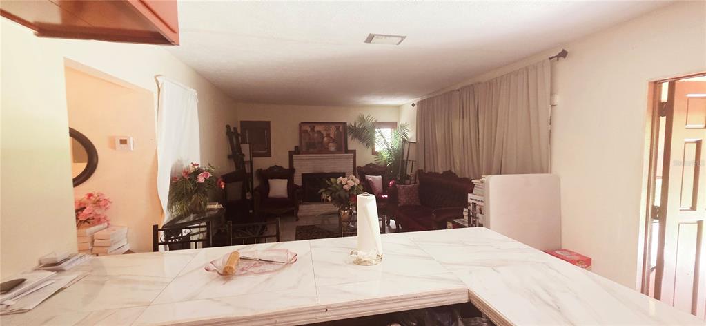 A view from a kitchen counter looking into a living room with a fireplace — 1135 HOLDEN AVENUE UNIT 1/2, ORLANDO, FL