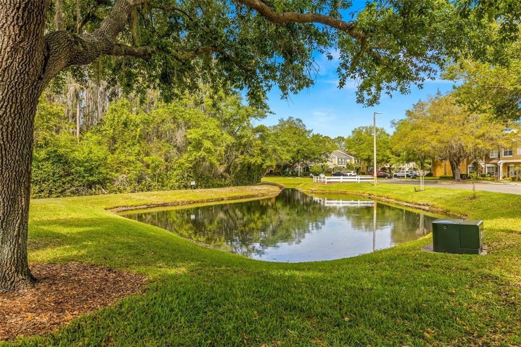 A small pond sits in a grassy yard surrounded by trees and residential buildings — 1237 KENNEWICK COURT, WESLEY CHAPEL, FL