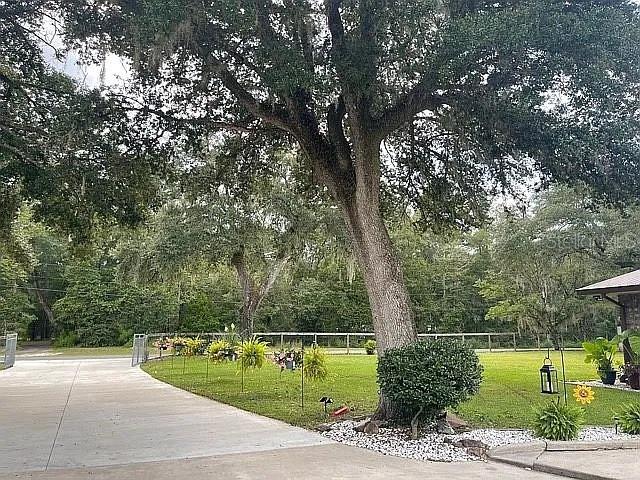 A large oak tree stands in a grassy yard next to a concrete driveway — 9068 131ST LOOP, LIVE OAK, FL