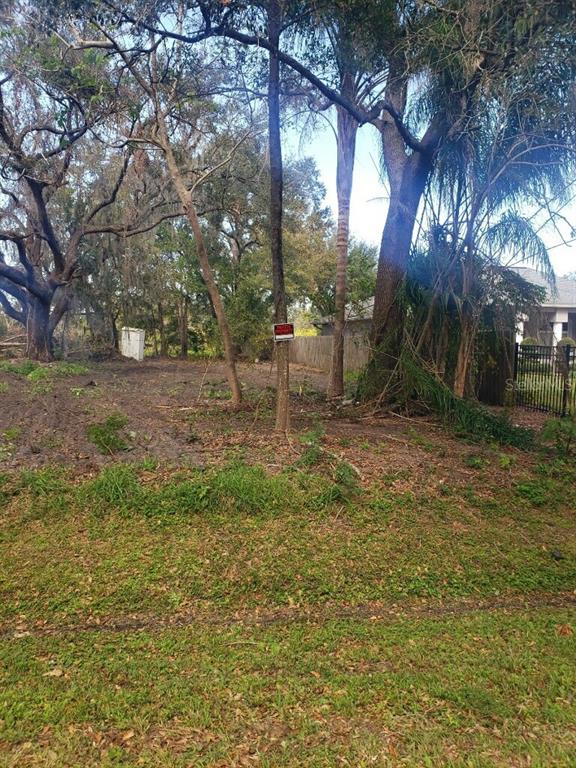 A vacant, wooded residential lot features a small sign attached to a central tree — 4217 W JACKSON STREET, ORLANDO, FL