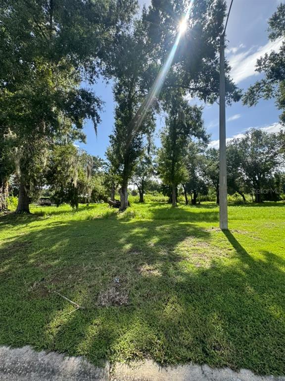 1171 SW MELODY DRIVE, ARCADIA, FL — photo 3 of 4