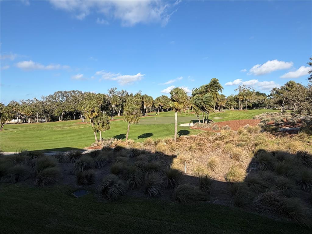 A view of a golf course green surrounded by palm trees and native landscaping — 50 COE ROAD UNIT 322, BELLEAIR, FL