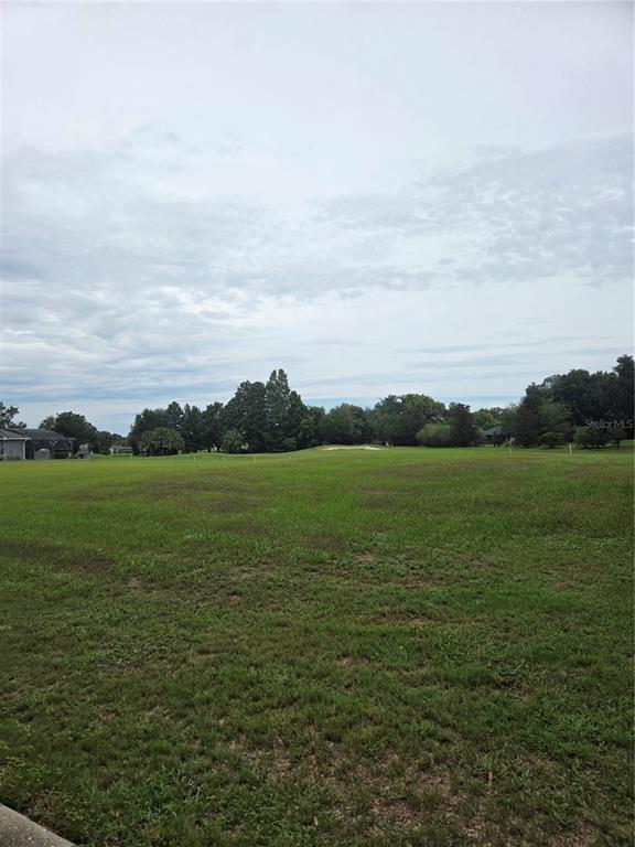 A wide, grassy field stretches toward a line of trees under a cloudy sky — 517 DOWLING CIRCLE, LADY LAKE, FL